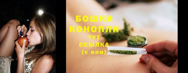 ГАЛЛЮЦИНОГЕННЫЕ ГРИБЫ Козельск