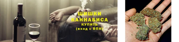 ГАЛЛЮЦИНОГЕННЫЕ ГРИБЫ Козельск
