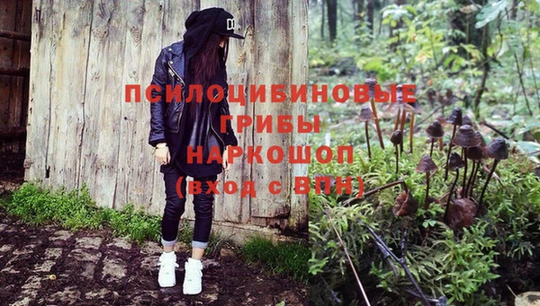 mix Козловка