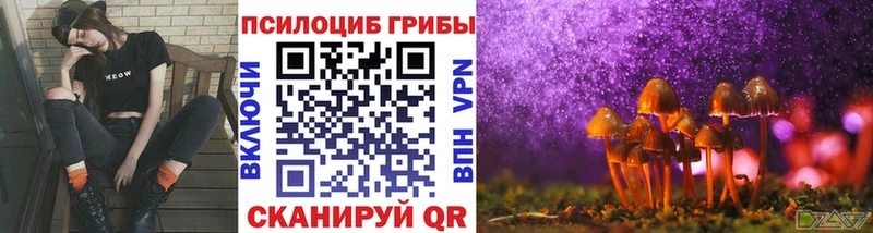Псилоцибиновые грибы Cubensis  Купить  Волжский 